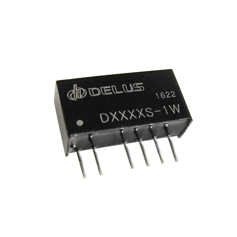 D_S-1W
