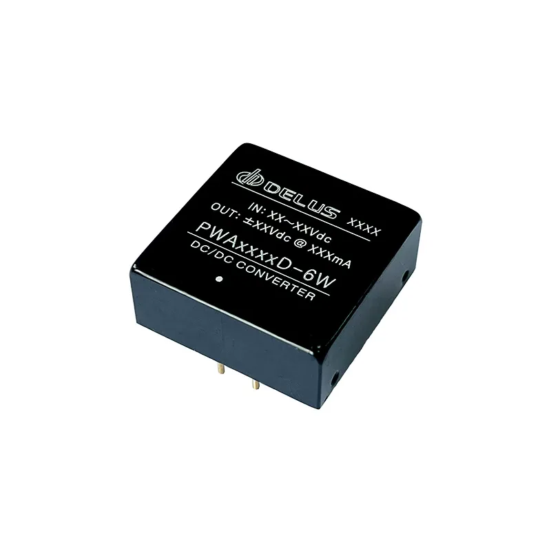 6W DIP package Power module PWA_D-6W